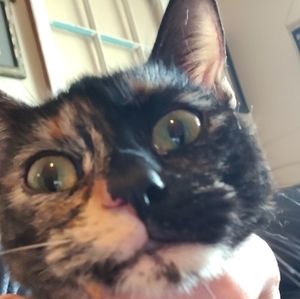 Meet your Posher, Rylea